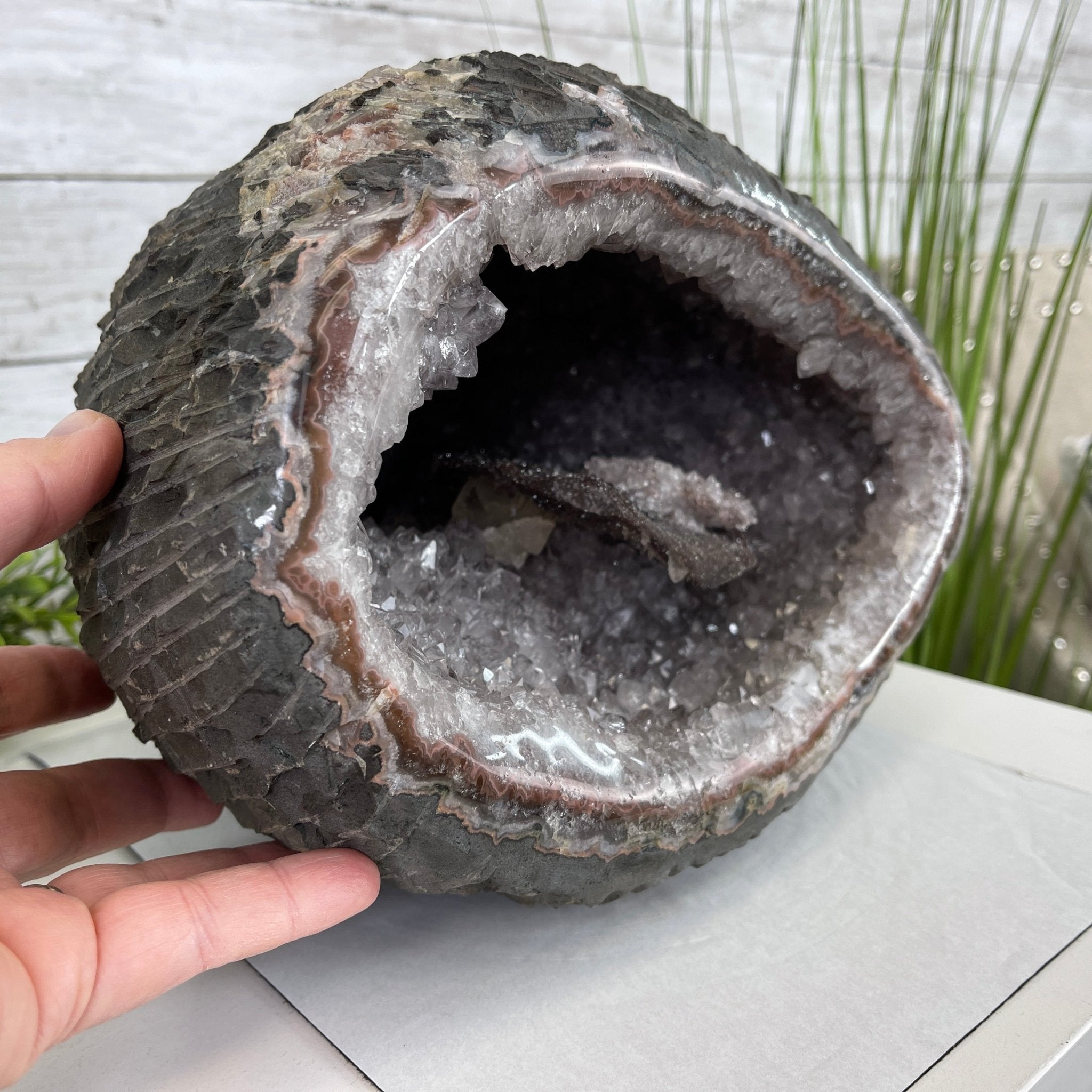 Super Quality Unique Uruguayan Amethyst Geode, 8.25” tall & 25 lbs #5520-0044 by Brazil Gems - Brazil GemsBrazil GemsSuper Quality Unique Uruguayan Amethyst Geode, 8.25” tall & 25 lbs #5520-0044 by Brazil GemsClusters: Unique & Freeform5520-0044