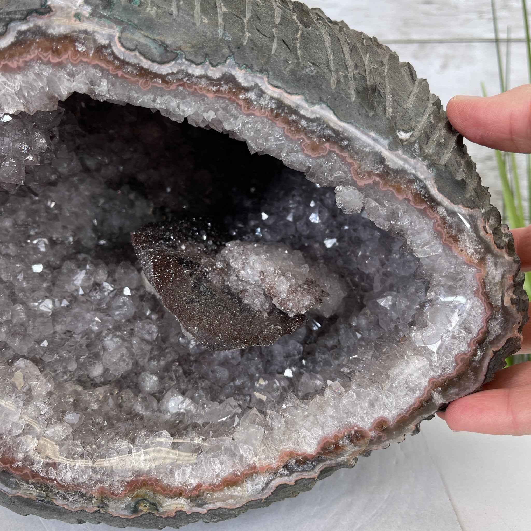 Super Quality Unique Uruguayan Amethyst Geode, 8.25” tall & 25 lbs #5520-0044 by Brazil Gems - Brazil GemsBrazil GemsSuper Quality Unique Uruguayan Amethyst Geode, 8.25” tall & 25 lbs #5520-0044 by Brazil GemsClusters: Unique & Freeform5520-0044