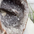 Super Quality Unique Uruguayan Amethyst Geode, 8.25” tall & 25 lbs #5520-0044 by Brazil Gems - Brazil GemsBrazil GemsSuper Quality Unique Uruguayan Amethyst Geode, 8.25” tall & 25 lbs #5520-0044 by Brazil GemsClusters: Unique & Freeform5520-0044