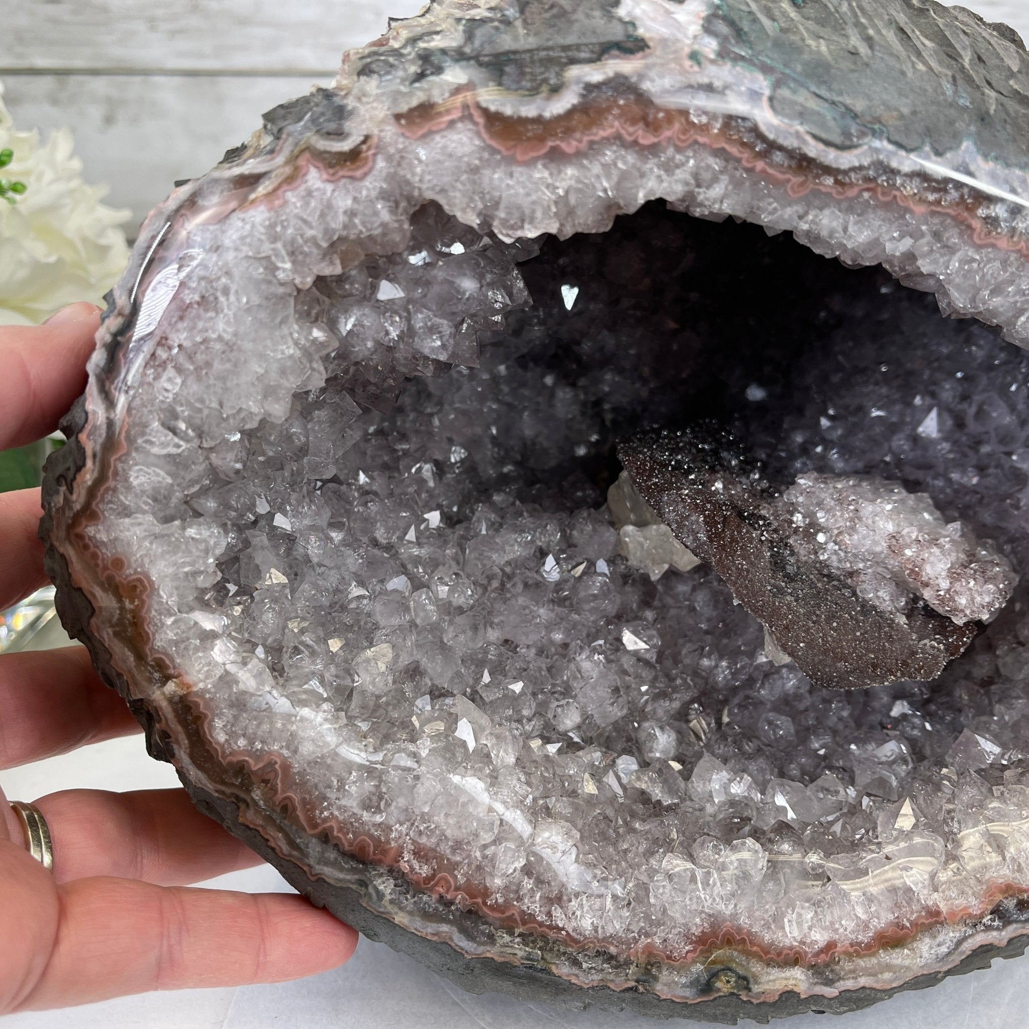 Super Quality Unique Uruguayan Amethyst Geode, 8.25” tall & 25 lbs #5520-0044 by Brazil Gems - Brazil GemsBrazil GemsSuper Quality Unique Uruguayan Amethyst Geode, 8.25” tall & 25 lbs #5520-0044 by Brazil GemsClusters: Unique & Freeform5520-0044