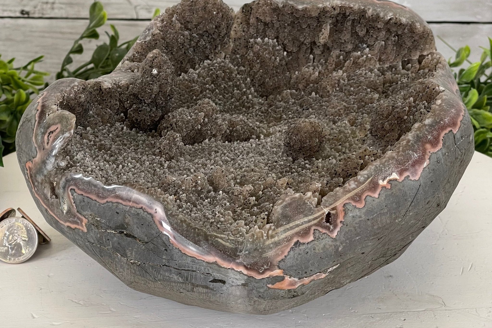 Super Quality Unique Uruguayan Pink Amethyst Geode, 10.38 lbs & 5” tall #5611-0474 by Brazil Gems - Brazil GemsBrazil GemsSuper Quality Unique Uruguayan Pink Amethyst Geode, 10.38 lbs & 5” tall #5611-0474 by Brazil GemsClusters: Unique & Freeform5611-0474