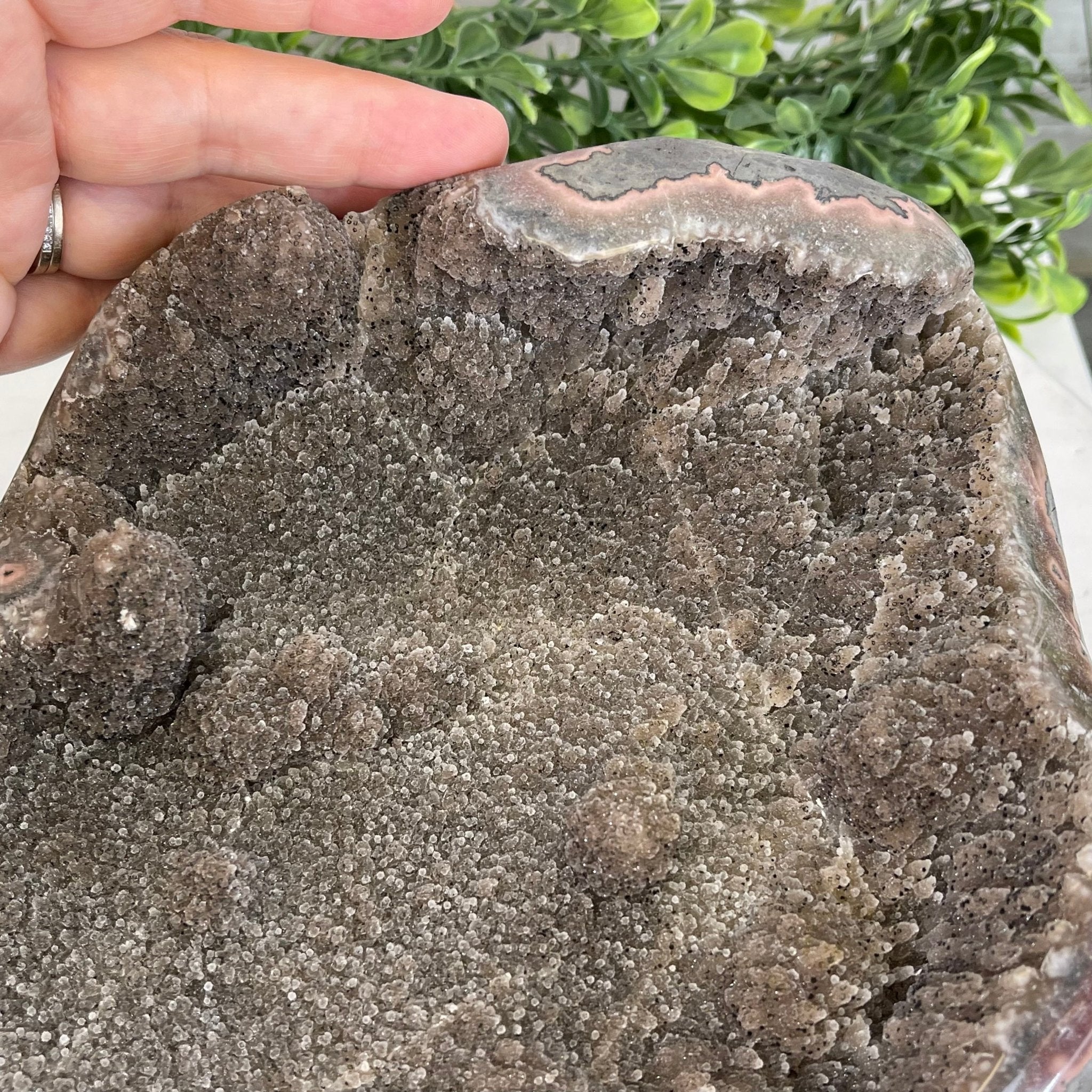 Super Quality Unique Uruguayan Pink Amethyst Geode, 10.38 lbs & 5” tall #5611-0474 by Brazil Gems - Brazil GemsBrazil GemsSuper Quality Unique Uruguayan Pink Amethyst Geode, 10.38 lbs & 5” tall #5611-0474 by Brazil GemsClusters: Unique & Freeform5611-0474
