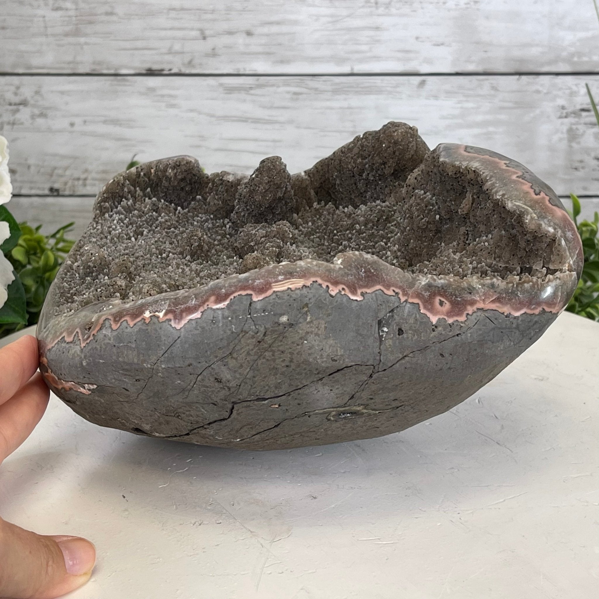 Super Quality Unique Uruguayan Pink Amethyst Geode, 10.38 lbs & 5” tall #5611-0474 by Brazil Gems - Brazil GemsBrazil GemsSuper Quality Unique Uruguayan Pink Amethyst Geode, 10.38 lbs & 5” tall #5611-0474 by Brazil GemsClusters: Unique & Freeform5611-0474