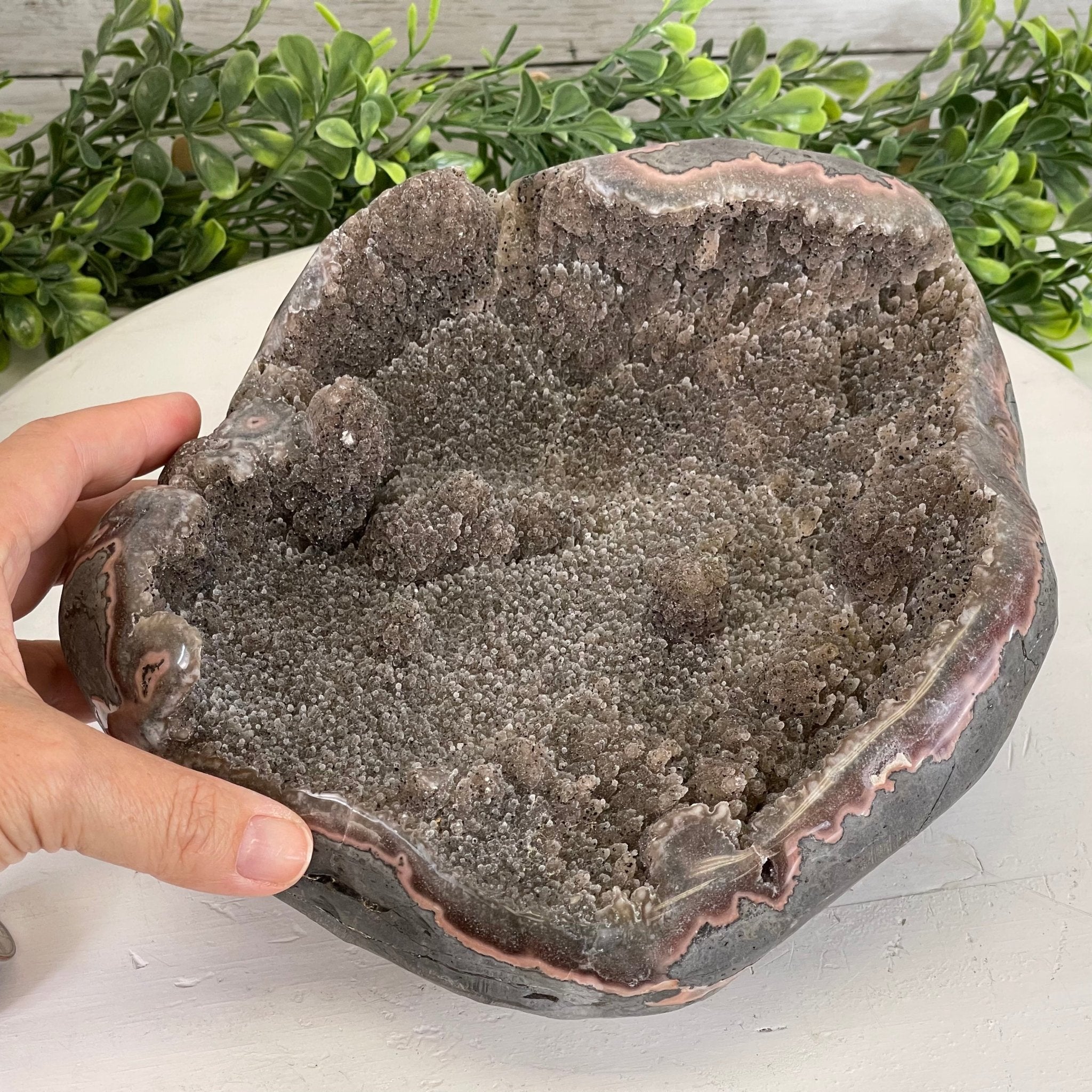 Super Quality Unique Uruguayan Pink Amethyst Geode, 10.38 lbs & 5” tall #5611-0474 by Brazil Gems - Brazil GemsBrazil GemsSuper Quality Unique Uruguayan Pink Amethyst Geode, 10.38 lbs & 5” tall #5611-0474 by Brazil GemsClusters: Unique & Freeform5611-0474