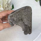 Super Quality Unique Uruguayan Pink Amethyst Geode, 4.24 lbs & 6.2” tall #5611-0471 by Brazil Gems - Brazil GemsBrazil GemsSuper Quality Unique Uruguayan Pink Amethyst Geode, 4.24 lbs & 6.2” tall #5611-0471 by Brazil GemsClusters: Unique & Freeform5611-0471
