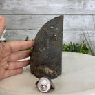 Teal Dyed Brazilian Agate Stone Bookends, 9.4 lbs & 5.3" tall Model #5151TL-021 by Brazil Gems - Brazil GemsBrazil GemsTeal Dyed Brazilian Agate Stone Bookends, 9.4 lbs & 5.3" tall Model #5151TL-021 by Brazil GemsBookends5151TL-021