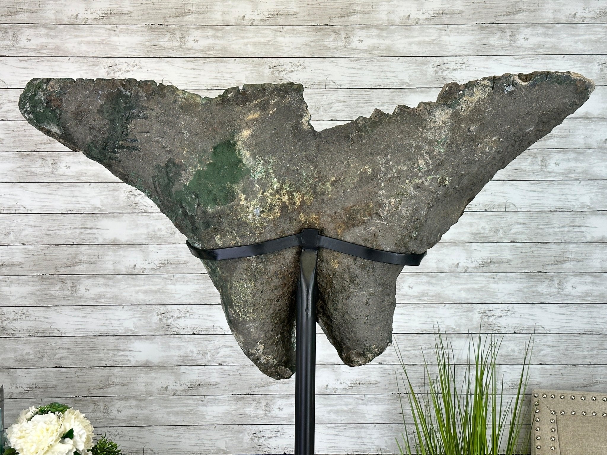"The Bat" Amethyst Cluster, Metal Base, 163 lbs & 69" Tall #5491-0145 - Brazil GemsBrazil Gems"The Bat" Amethyst Cluster, Metal Base, 163 lbs & 69" Tall #5491-0145Clusters on Fixed Bases5491-0145