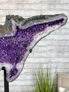 "The Bat" Amethyst Cluster, Metal Base, 163 lbs & 69" Tall #5491-0145 - Brazil GemsBrazil Gems"The Bat" Amethyst Cluster, Metal Base, 163 lbs & 69" Tall #5491-0145Clusters on Fixed Bases5491-0145