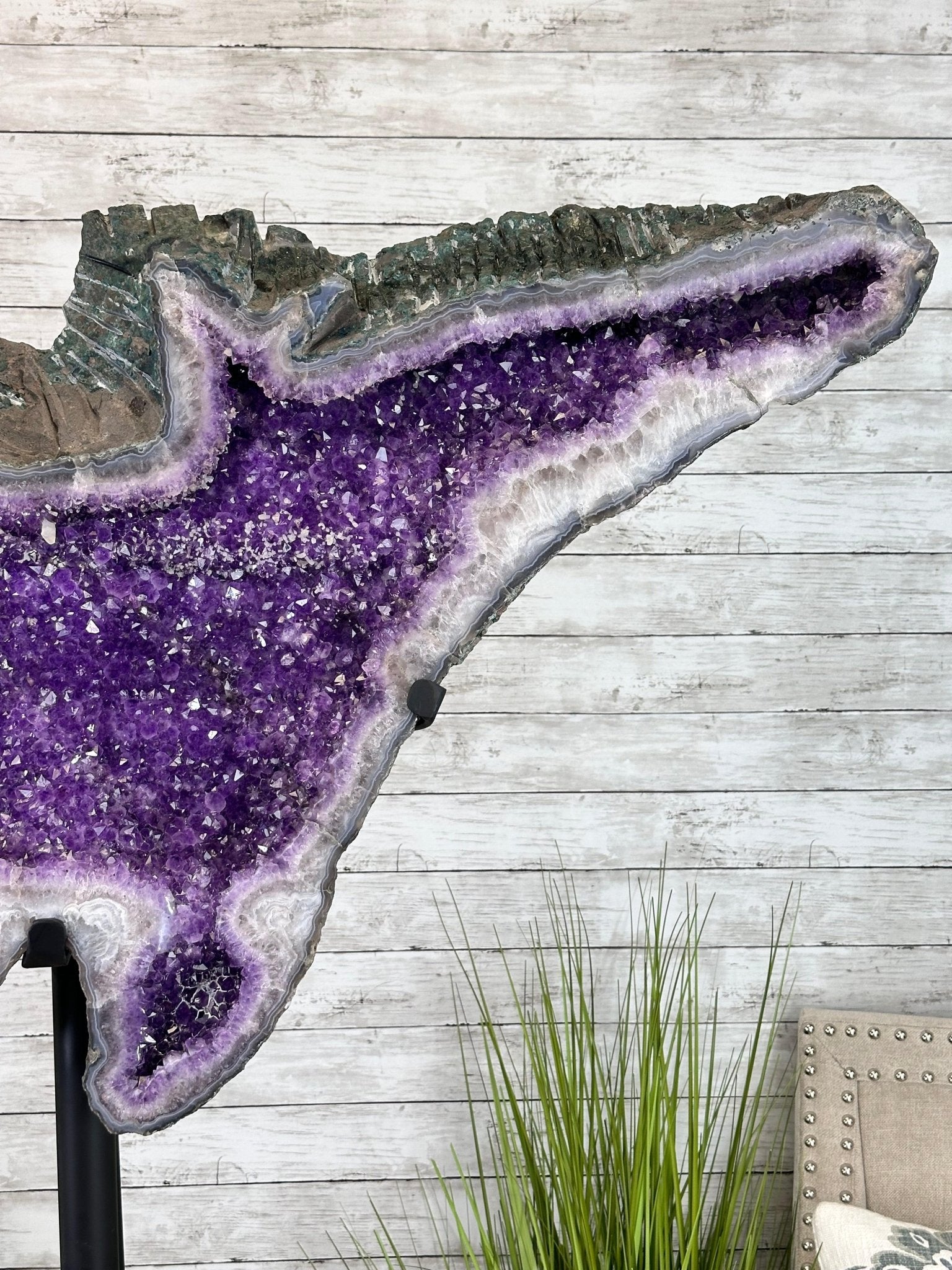 "The Bat" Amethyst Cluster, Metal Base, 163 lbs & 69" Tall #5491-0145 - Brazil GemsBrazil Gems"The Bat" Amethyst Cluster, Metal Base, 163 lbs & 69" Tall #5491-0145Clusters on Fixed Bases5491-0145