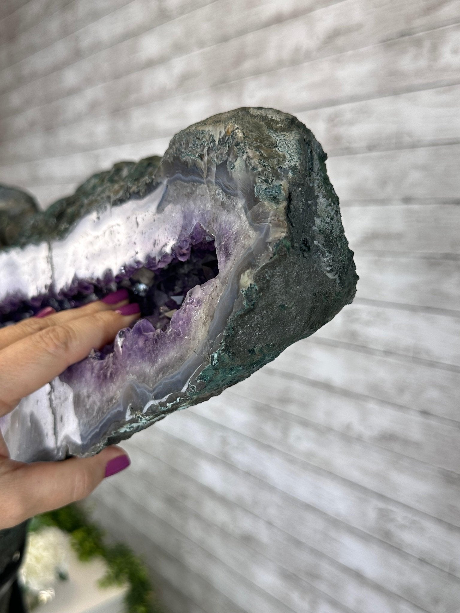 "The Bat" Amethyst Cluster, Metal Base, 163 lbs & 69" Tall #5491-0145 - Brazil GemsBrazil Gems"The Bat" Amethyst Cluster, Metal Base, 163 lbs & 69" Tall #5491-0145Clusters on Fixed Bases5491-0145