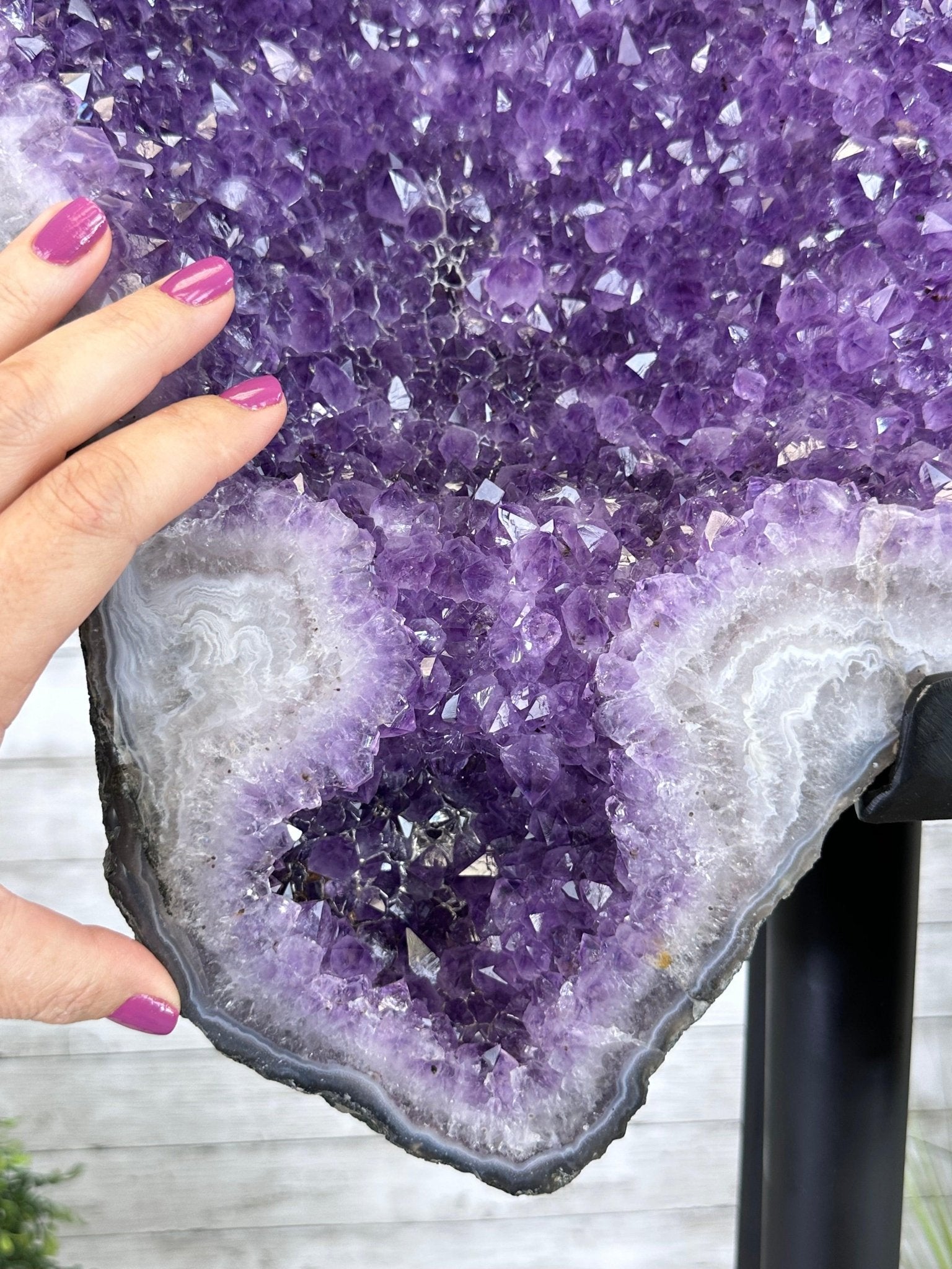 "The Bat" Amethyst Cluster, Metal Base, 163 lbs & 69" Tall #5491-0145 - Brazil GemsBrazil Gems"The Bat" Amethyst Cluster, Metal Base, 163 lbs & 69" Tall #5491-0145Clusters on Fixed Bases5491-0145