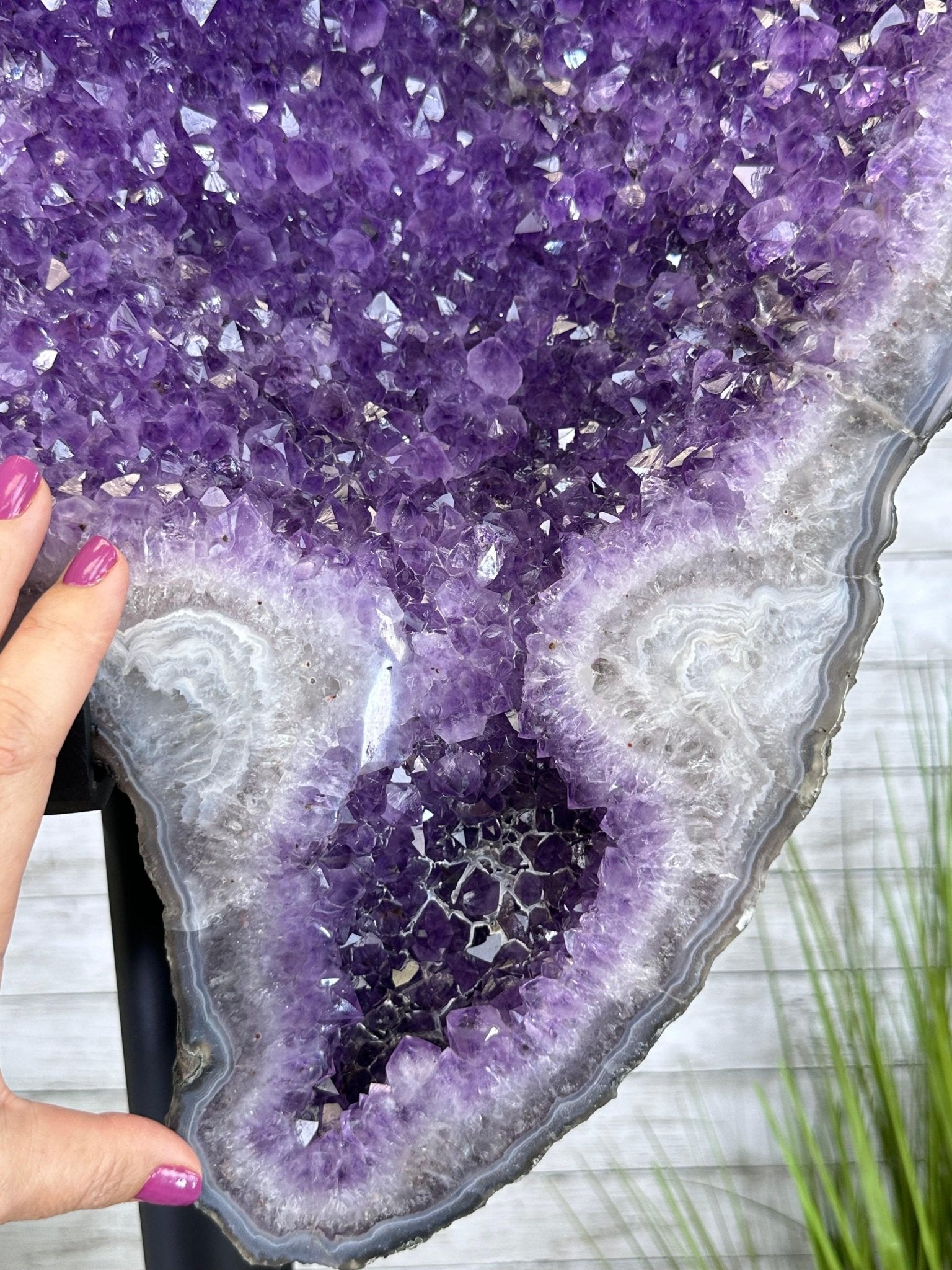 "The Bat" Amethyst Cluster, Metal Base, 163 lbs & 69" Tall #5491-0145 - Brazil GemsBrazil Gems"The Bat" Amethyst Cluster, Metal Base, 163 lbs & 69" Tall #5491-0145Clusters on Fixed Bases5491-0145