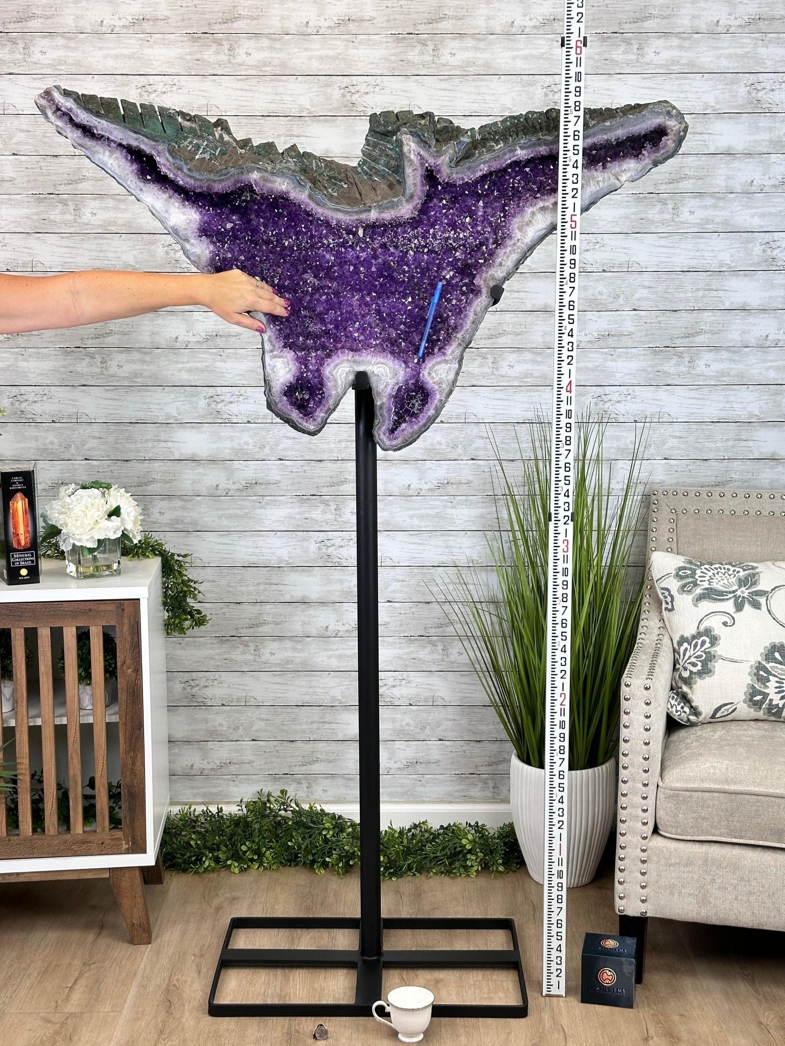 "The Bat" Amethyst Cluster, Metal Base, 163 lbs & 69" Tall #5491-0145 - Brazil GemsBrazil Gems"The Bat" Amethyst Cluster, Metal Base, 163 lbs & 69" Tall #5491-0145Clusters on Fixed Bases5491-0145