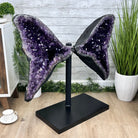 Extra Plus Quality Amethyst Wings on a Metal Stand, 174.2 lbs, 34.75" Tall #5493-0036 - Brazil GemsBrazil GemsExtra Plus Quality Amethyst Wings on a Metal Stand, 174.2 lbs, 34.75" Tall #5493-0036Amethyst Butterfly Wings5493-0036