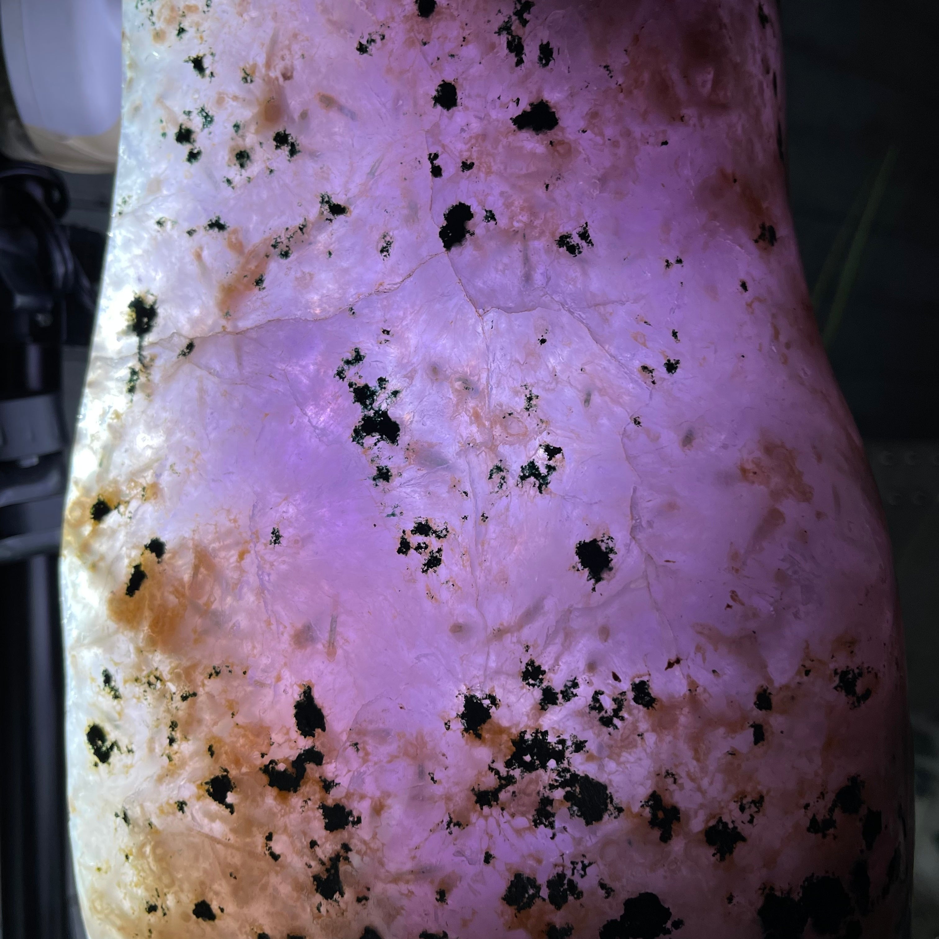 Large Extra Plus Quality Polished Brazilian Amethyst Cathedral, 155.3 lbs & 52” Tall Model #5602-0145 by Brazil Gems - Brazil GemsBrazil GemsLarge Extra Plus Quality Polished Brazilian Amethyst Cathedral, 155.3 lbs & 52” Tall Model #5602-0145 by Brazil GemsPolished Cathedrals5602-0145
