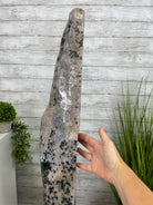 Large Extra Plus Quality Polished Brazilian Amethyst Cathedral, 155.3 lbs & 52” Tall Model #5602-0145 by Brazil Gems - Brazil GemsBrazil GemsLarge Extra Plus Quality Polished Brazilian Amethyst Cathedral, 155.3 lbs & 52” Tall Model #5602-0145 by Brazil GemsPolished Cathedrals5602-0145