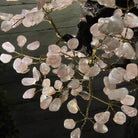 43" Tall Special Rose Quartz Gemstone Tree w/ Amethyst base, 1380 Gems, Handmade #5442RQ-001 by Brazil Gems - Brazil GemsBrazil Gems43" Tall Special Rose Quartz Gemstone Tree w/ Amethyst base, 1380 Gems, Handmade #5442RQ-001 by Brazil GemsGemstone Trees5442RQ-001