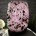 Extra Quality Polished Brazilian Amethyst Cathedral, 62.6 lbs & 16.25" tall Model #5602-0161 by Brazil Gems - Brazil GemsBrazil GemsExtra Quality Polished Brazilian Amethyst Cathedral, 62.6 lbs & 16.25" tall Model #5602-0161 by Brazil GemsPolished Cathedrals5602-0161