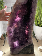 Large Extra Plus Quality Polished Brazilian Amethyst Cathedral, 157 lbs & 50.6” Tall Model #5602-0146 by Brazil Gems - Brazil GemsBrazil GemsLarge Extra Plus Quality Polished Brazilian Amethyst Cathedral, 157 lbs & 50.6” Tall Model #5602-0146 by Brazil GemsPolished Cathedrals5602-0146