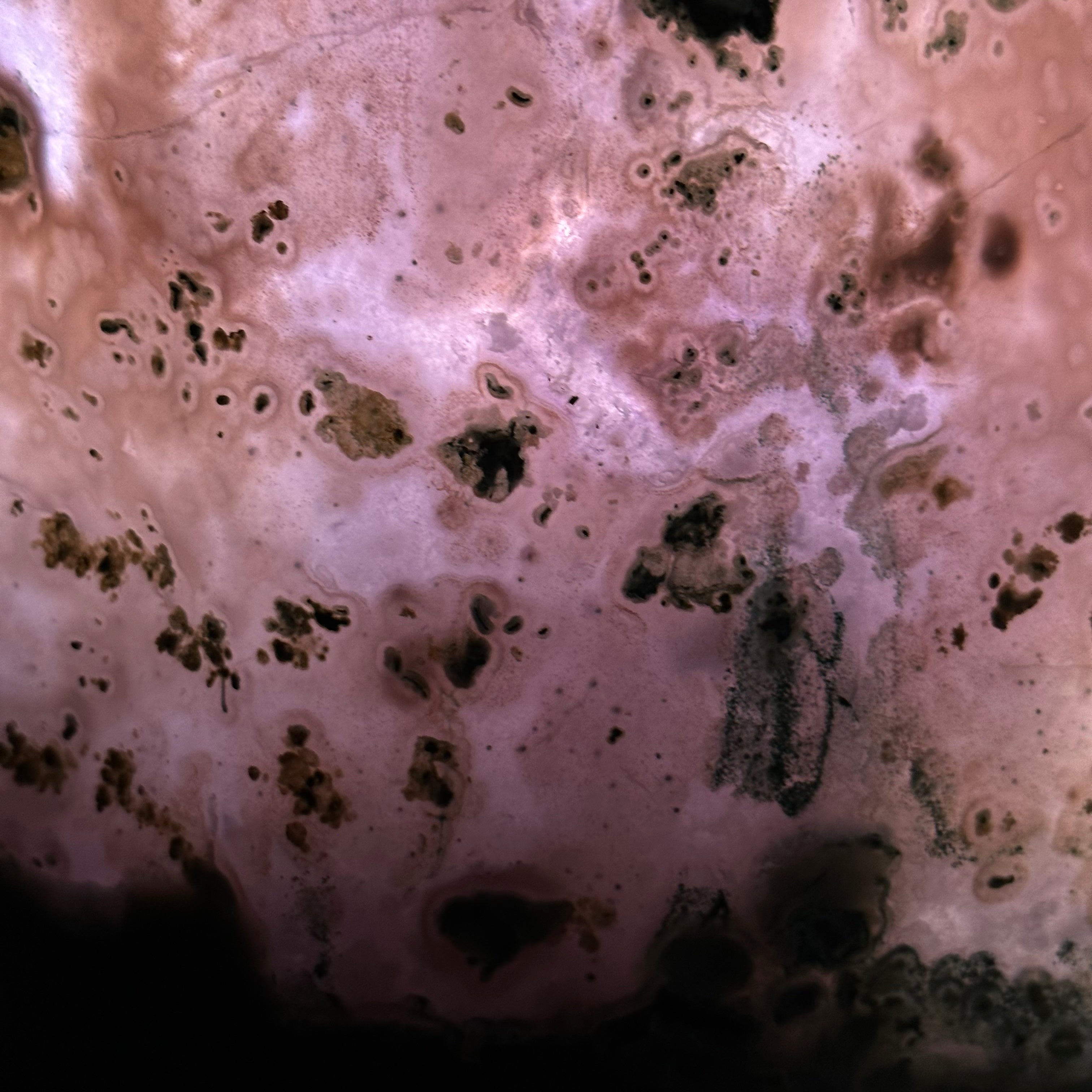 Extra Quality Polished Brazilian Amethyst Cathedral, 40 lbs & 15.5" tall Model #5602-0157 by Brazil Gems - Brazil GemsBrazil GemsExtra Quality Polished Brazilian Amethyst Cathedral, 40 lbs & 15.5" tall Model #5602-0157 by Brazil GemsPolished Cathedrals5602-0157