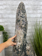 Large Extra Plus Quality Polished Brazilian Amethyst Cathedral, 157 lbs & 50.6” Tall Model #5602-0146 by Brazil Gems - Brazil GemsBrazil GemsLarge Extra Plus Quality Polished Brazilian Amethyst Cathedral, 157 lbs & 50.6” Tall Model #5602-0146 by Brazil GemsPolished Cathedrals5602-0146