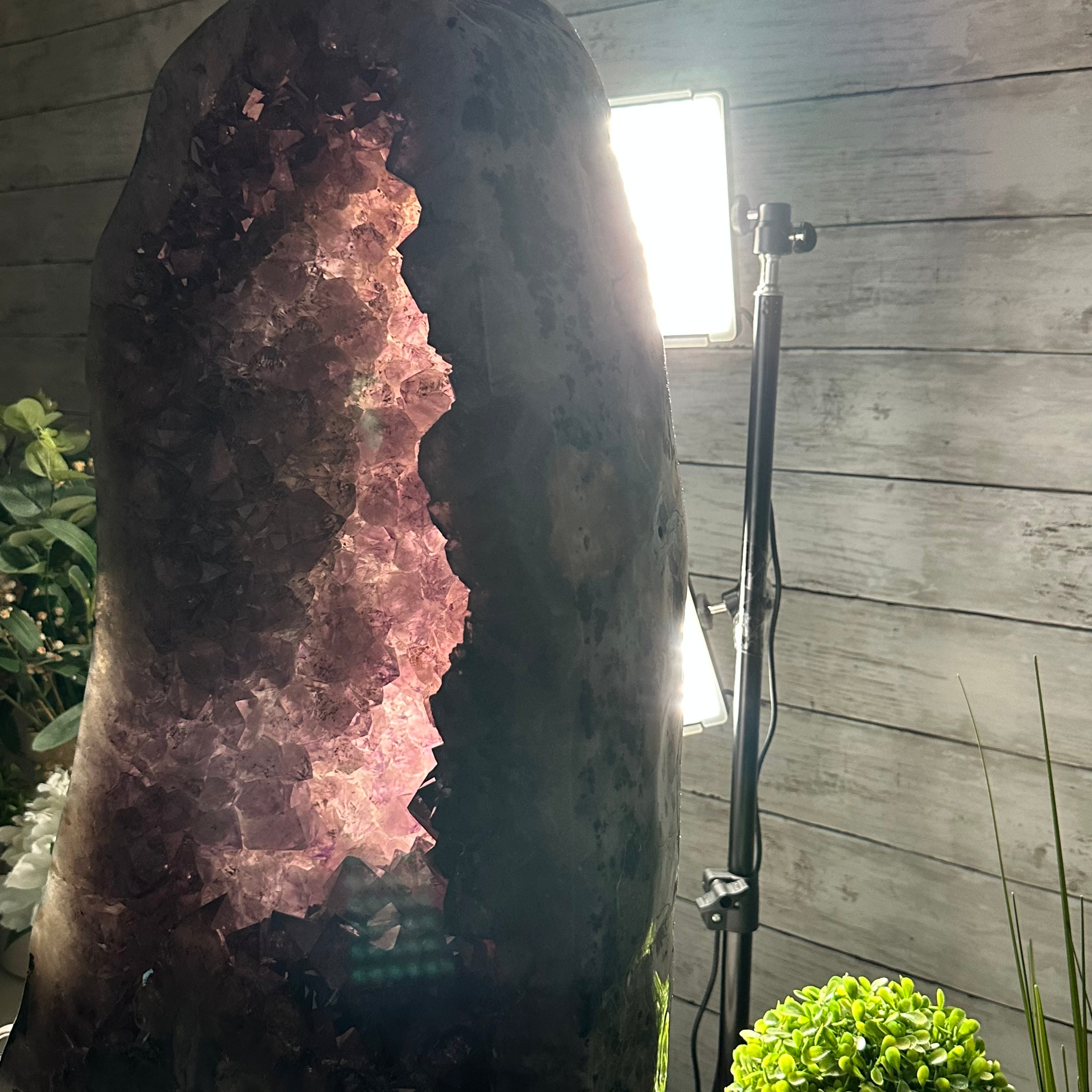 Extra Quality Polished Brazilian Amethyst Cathedral, 104.8 lbs & 24.5" tall Model #5602-0165 by Brazil Gems - Brazil GemsBrazil GemsExtra Quality Polished Brazilian Amethyst Cathedral, 104.8 lbs & 24.5" tall Model #5602-0165 by Brazil GemsPolished Cathedrals5602-0165