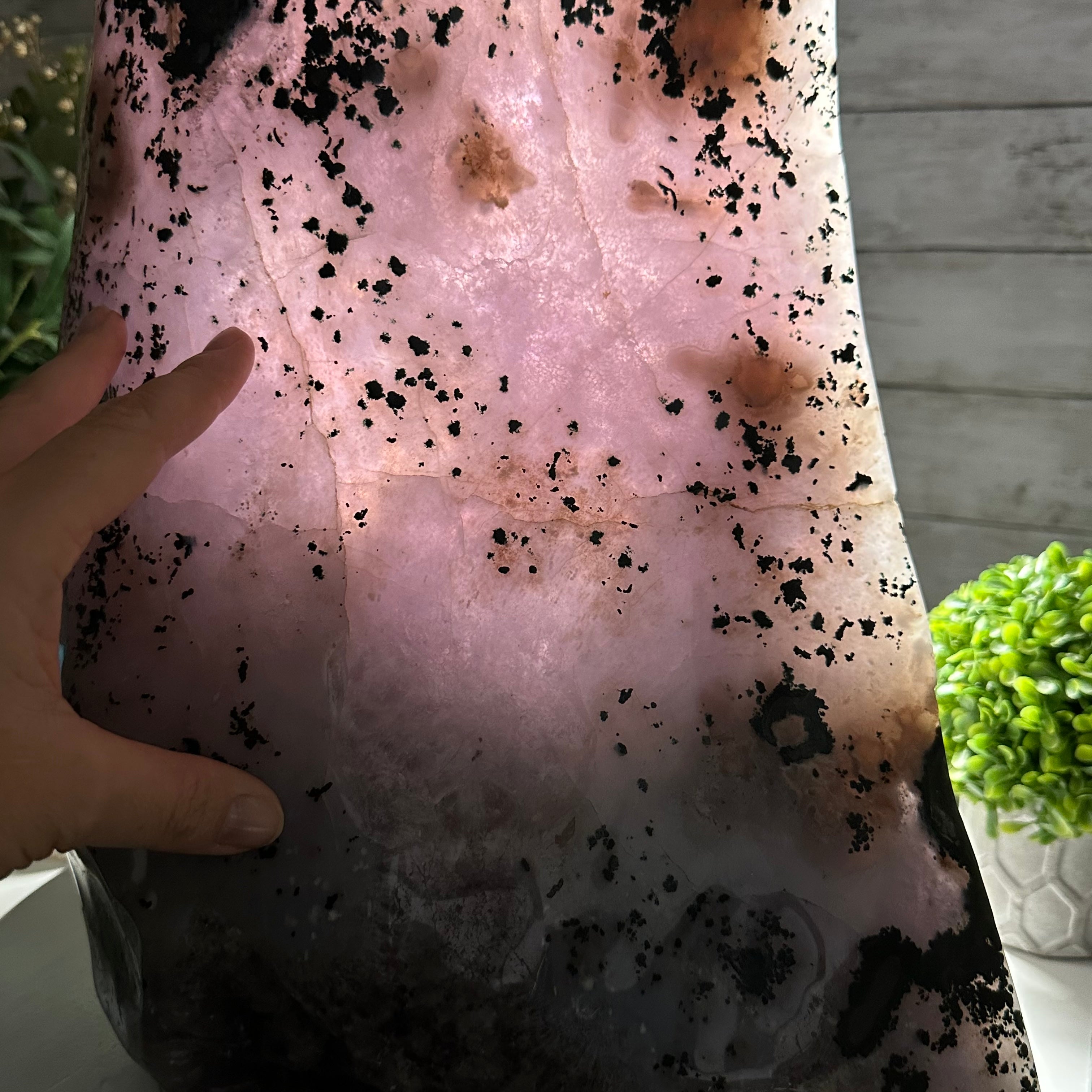 Extra Quality Polished Brazilian Amethyst Cathedral, 104.8 lbs & 24.5" tall Model #5602-0165 by Brazil Gems - Brazil GemsBrazil GemsExtra Quality Polished Brazilian Amethyst Cathedral, 104.8 lbs & 24.5" tall Model #5602-0165 by Brazil GemsPolished Cathedrals5602-0165