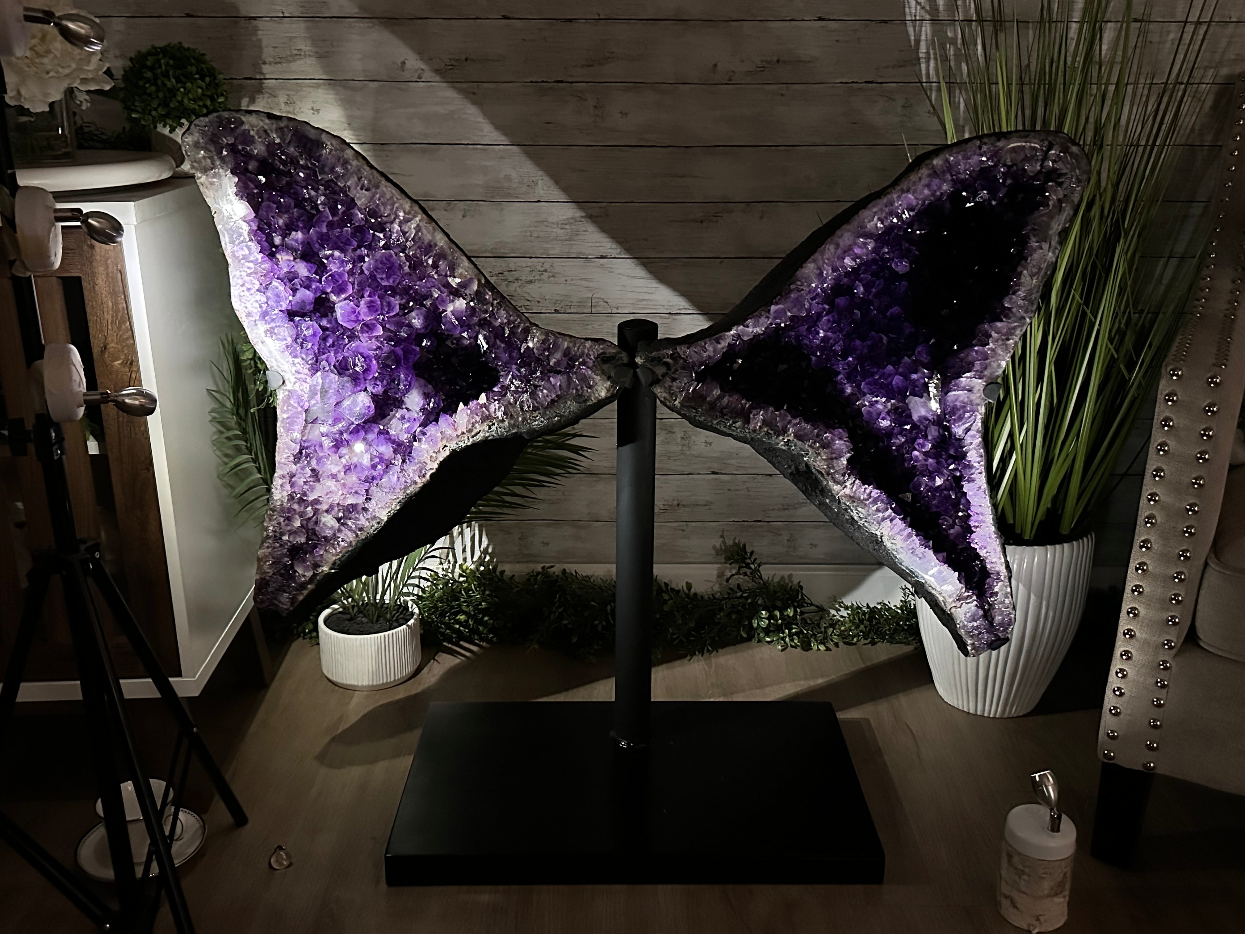 Extra Plus Quality Amethyst Wings on a Metal Stand, 174.2 lbs, 34.75" Tall #5493-0036 - Brazil GemsBrazil GemsExtra Plus Quality Amethyst Wings on a Metal Stand, 174.2 lbs, 34.75" Tall #5493-0036Amethyst Butterfly Wings5493-0036