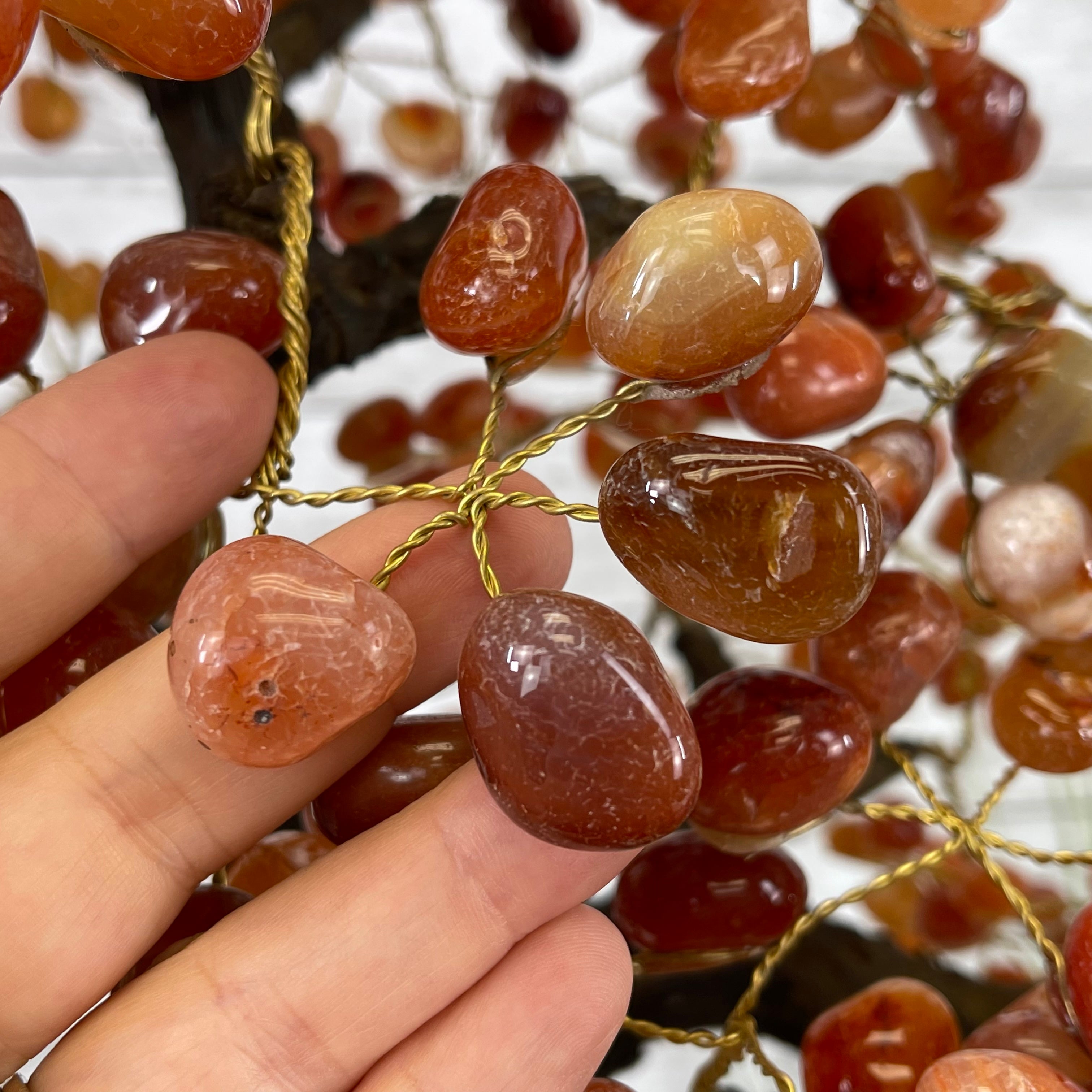Hand showcasing the red and brown gemstones of the Carnelian Tree