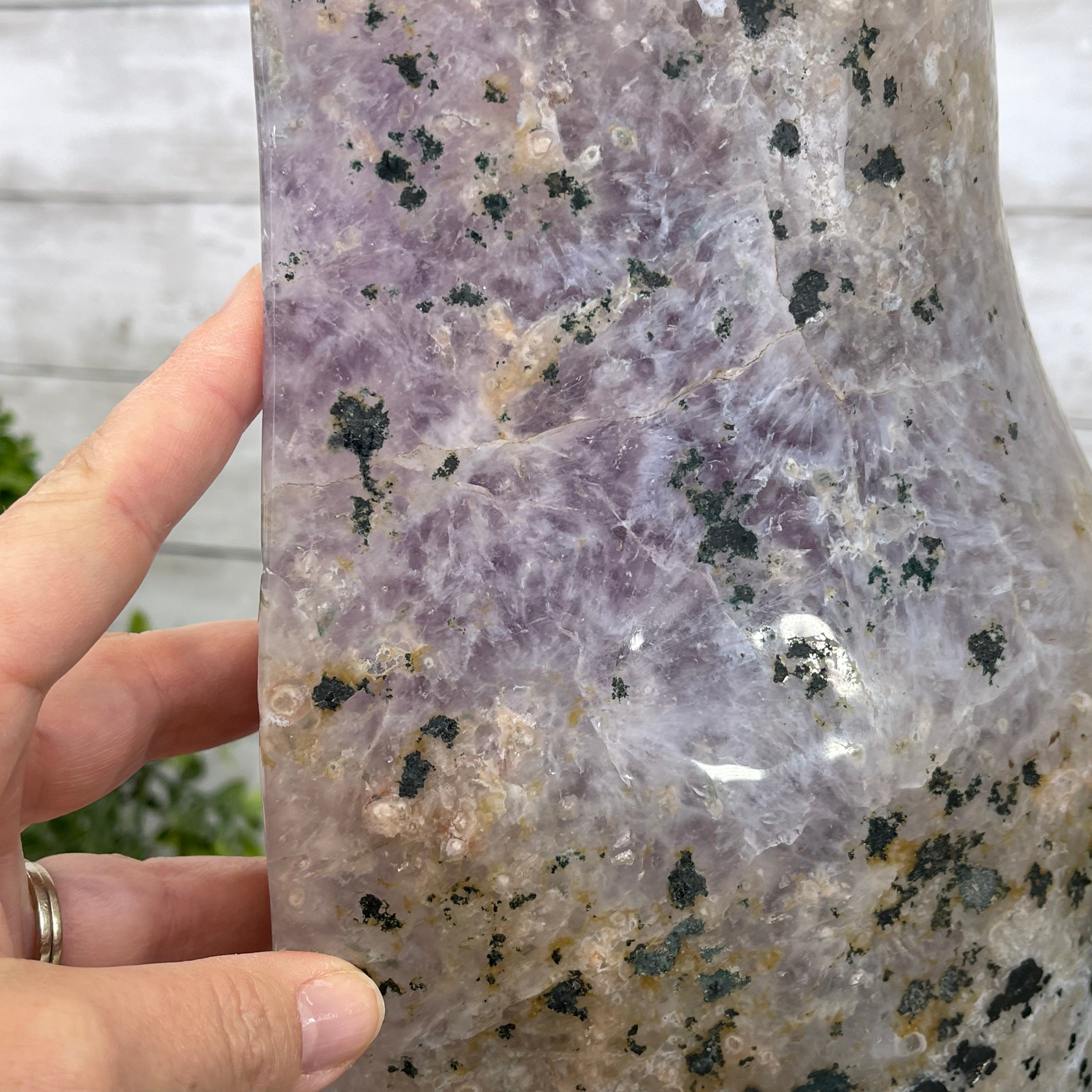 Large Extra Plus Quality Polished Brazilian Amethyst Cathedral, 155.3 lbs & 52” Tall Model #5602-0145 by Brazil Gems - Brazil GemsBrazil GemsLarge Extra Plus Quality Polished Brazilian Amethyst Cathedral, 155.3 lbs & 52” Tall Model #5602-0145 by Brazil GemsPolished Cathedrals5602-0145