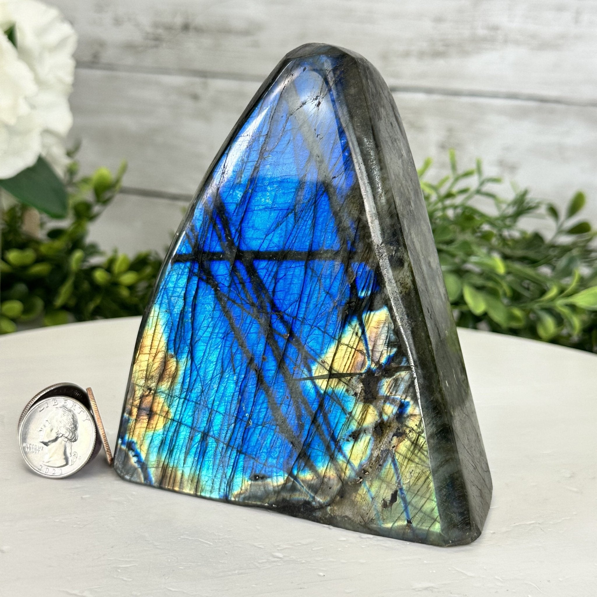 FREEFORM & UNIQUE SHAPES - Brazil Gems