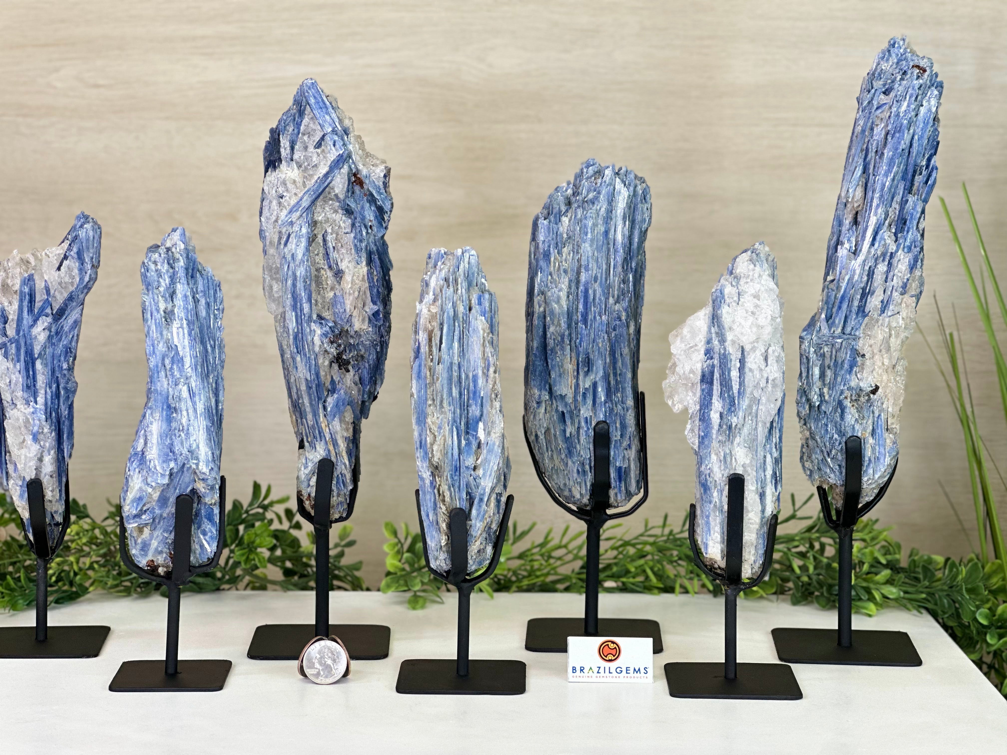 KYANITE CLUSTERS - Brazil Gems