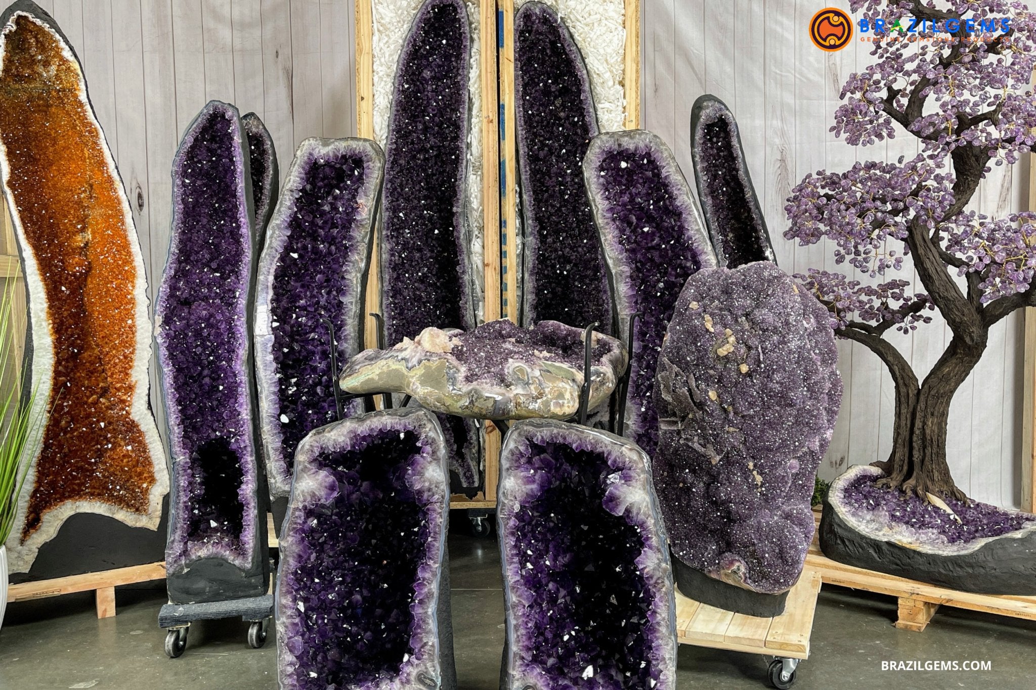 THE BIG ONES - Brazil Gems