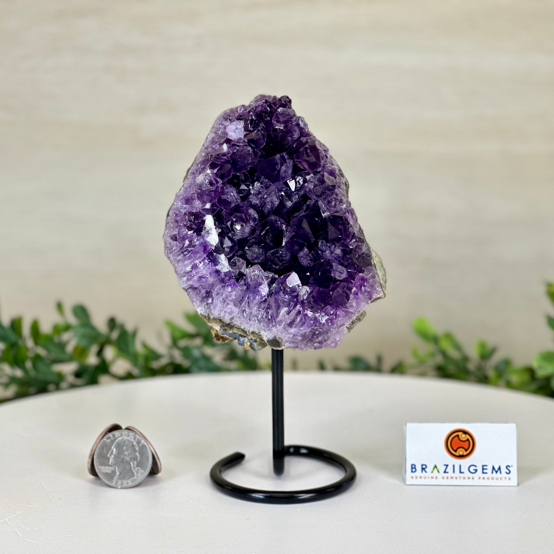 Amethyst Cluster on a Metal Base For Sale by Brazil Gems® #5490AM-270