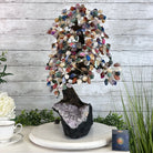 20" Tall Mixed Gems Gemstone Tree on an Amethyst base, 540 gems #5406MG - 012 - Brazil GemsBrazil Gems20" Tall Mixed Gems Gemstone Tree on an Amethyst base, 540 gems #5406MG - 012Gemstone Trees5406MG - 012