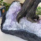 21" Tall Rose Quartz Gemstone Tree on an Amethyst base, 540 gems #5406RQ - 018 - Brazil GemsBrazil Gems21" Tall Rose Quartz Gemstone Tree on an Amethyst base, 540 gems #5406RQ - 018Gemstone Trees5406RQ - 018