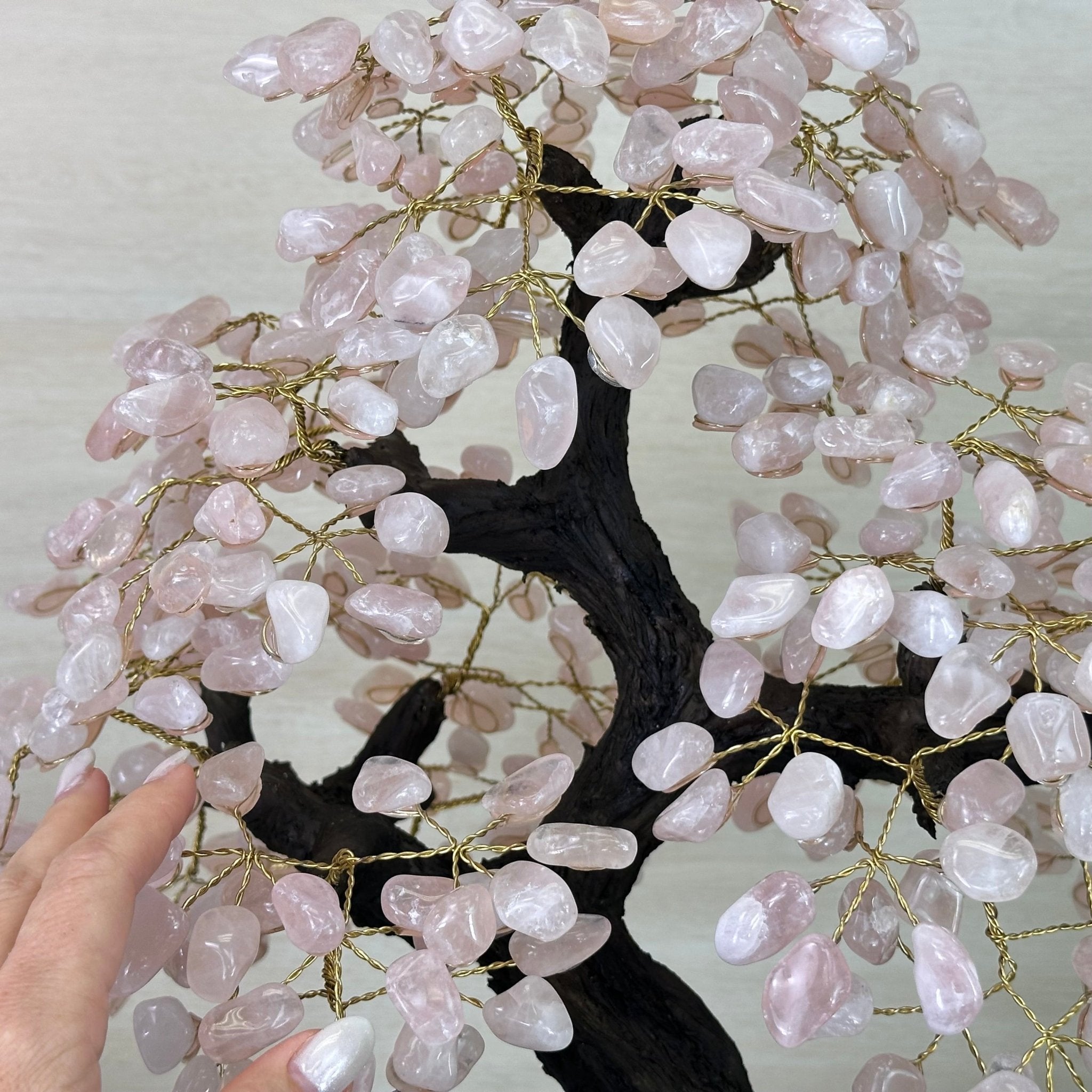 21" Tall Rose Quartz Gemstone Tree on an Amethyst base, 540 gems #5406RQ - 018 - Brazil GemsBrazil Gems21" Tall Rose Quartz Gemstone Tree on an Amethyst base, 540 gems #5406RQ - 018Gemstone Trees5406RQ - 018