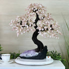 21" Tall Rose Quartz Gemstone Tree on an Amethyst base, 540 gems #5406RQ - 018 - Brazil GemsBrazil Gems21" Tall Rose Quartz Gemstone Tree on an Amethyst base, 540 gems #5406RQ - 018Gemstone Trees5406RQ - 018