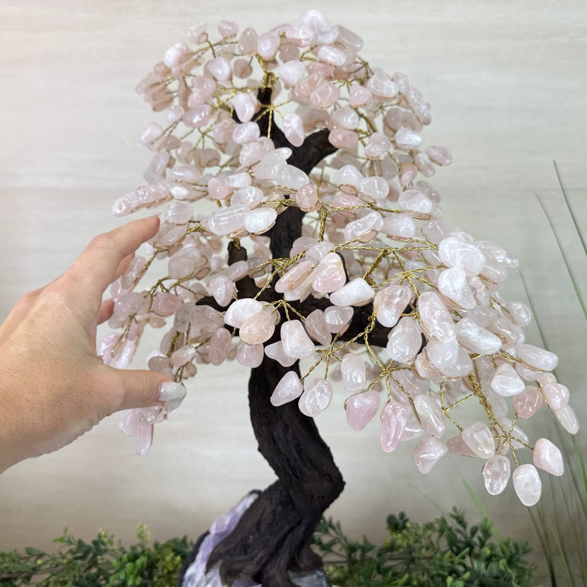 21" Tall Rose Quartz Gemstone Tree on an Amethyst base, 540 gems #5406RQ - 018 - Brazil GemsBrazil Gems21" Tall Rose Quartz Gemstone Tree on an Amethyst base, 540 gems #5406RQ - 018Gemstone Trees5406RQ - 018