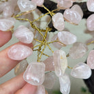 21" Tall Rose Quartz Gemstone Tree on an Amethyst base, 540 gems #5406RQ - 018 - Brazil GemsBrazil Gems21" Tall Rose Quartz Gemstone Tree on an Amethyst base, 540 gems #5406RQ - 018Gemstone Trees5406RQ - 018