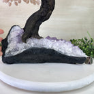 21" Tall Rose Quartz Gemstone Tree on an Amethyst base, 540 gems #5406RQ - 018 - Brazil GemsBrazil Gems21" Tall Rose Quartz Gemstone Tree on an Amethyst base, 540 gems #5406RQ - 018Gemstone Trees5406RQ - 018