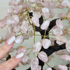 21" Tall Rose Quartz Gemstone Tree on an Amethyst base, 540 gems #5406RQ - 018 - Brazil GemsBrazil Gems21" Tall Rose Quartz Gemstone Tree on an Amethyst base, 540 gems #5406RQ - 018Gemstone Trees5406RQ - 018