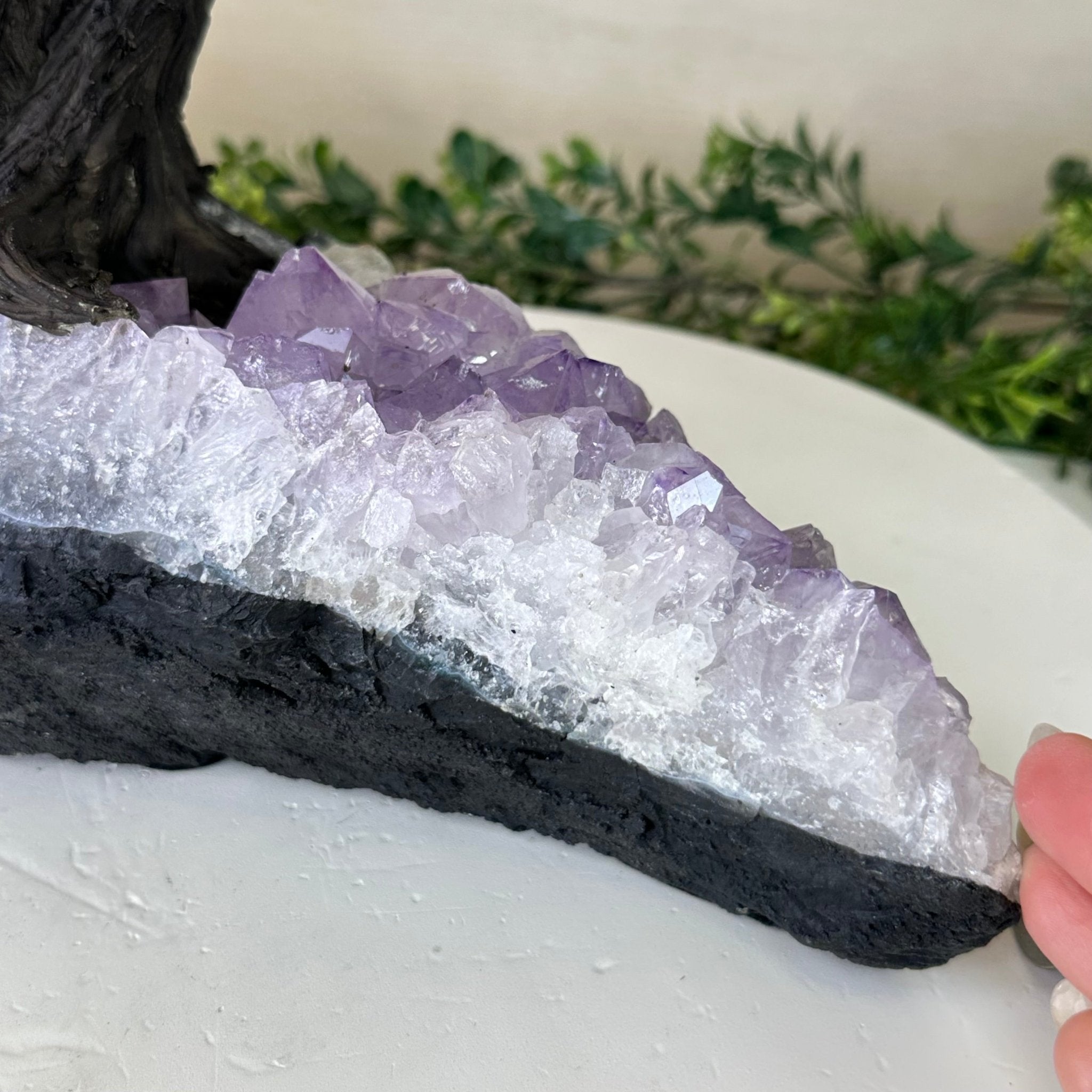 21" Tall Rose Quartz Gemstone Tree on an Amethyst base, 540 gems #5406RQ - 018 - Brazil GemsBrazil Gems21" Tall Rose Quartz Gemstone Tree on an Amethyst base, 540 gems #5406RQ - 018Gemstone Trees5406RQ - 018