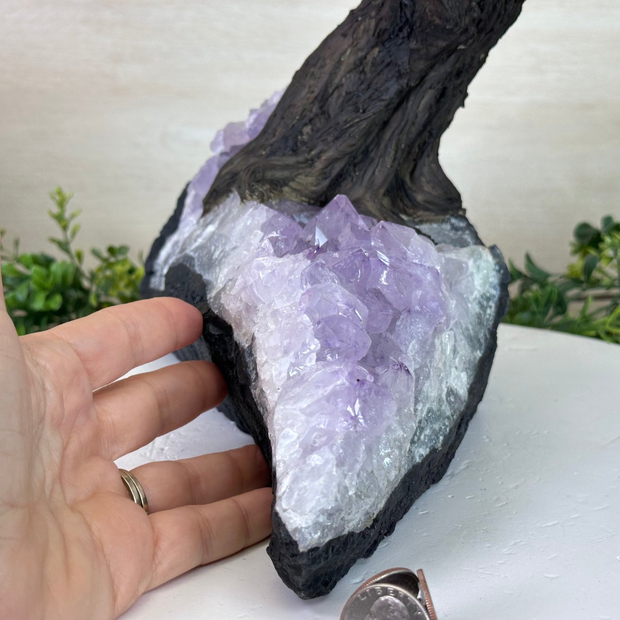 21" Tall Rose Quartz Gemstone Tree on an Amethyst base, 540 gems #5406RQ - 018 - Brazil GemsBrazil Gems21" Tall Rose Quartz Gemstone Tree on an Amethyst base, 540 gems #5406RQ - 018Gemstone Trees5406RQ - 018