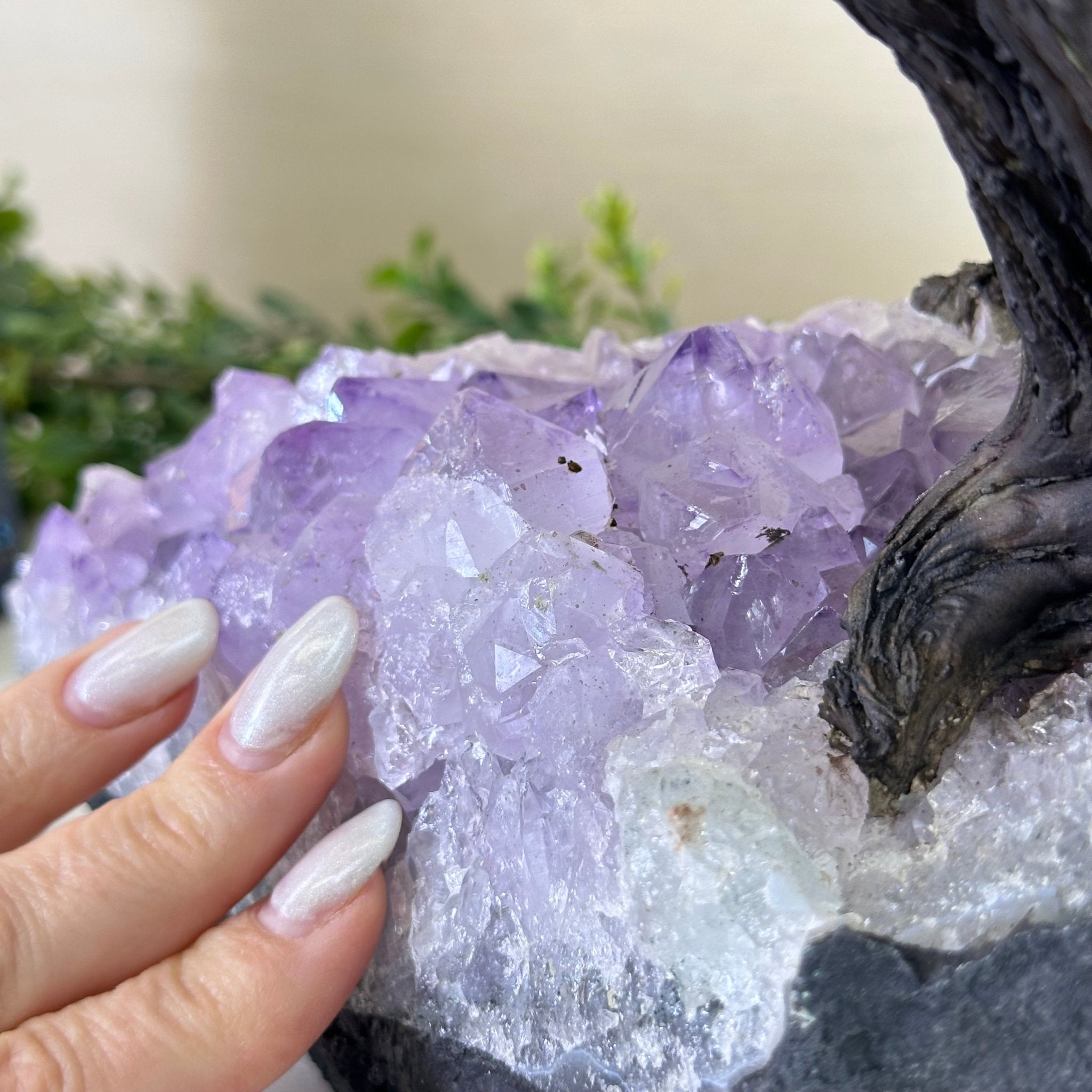 21" Tall Rose Quartz Gemstone Tree on an Amethyst base, 540 gems #5406RQ - 018 - Brazil GemsBrazil Gems21" Tall Rose Quartz Gemstone Tree on an Amethyst base, 540 gems #5406RQ - 018Gemstone Trees5406RQ - 018