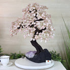 21" Tall Rose Quartz Gemstone Tree on an Amethyst base, 540 gems #5406RQ - 018 - Brazil GemsBrazil Gems21" Tall Rose Quartz Gemstone Tree on an Amethyst base, 540 gems #5406RQ - 018Gemstone Trees5406RQ - 018