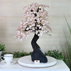 21" Tall Rose Quartz Gemstone Tree on an Amethyst base, 540 gems #5406RQ - 018 - Brazil GemsBrazil Gems21" Tall Rose Quartz Gemstone Tree on an Amethyst base, 540 gems #5406RQ - 018Gemstone Trees5406RQ - 018