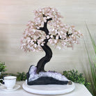 21" Tall Rose Quartz Gemstone Tree on an Amethyst base, 540 gems #5406RQ - 018 - Brazil GemsBrazil Gems21" Tall Rose Quartz Gemstone Tree on an Amethyst base, 540 gems #5406RQ - 018Gemstone Trees5406RQ - 018