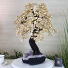 21.75" Tall Citrine Gemstone Tree on an Amethyst Base, 540 gems #5406CI - 022 - Brazil GemsBrazil Gems21.75" Tall Citrine Gemstone Tree on an Amethyst Base, 540 gems #5406CI - 022Gemstone Trees5406CI - 022