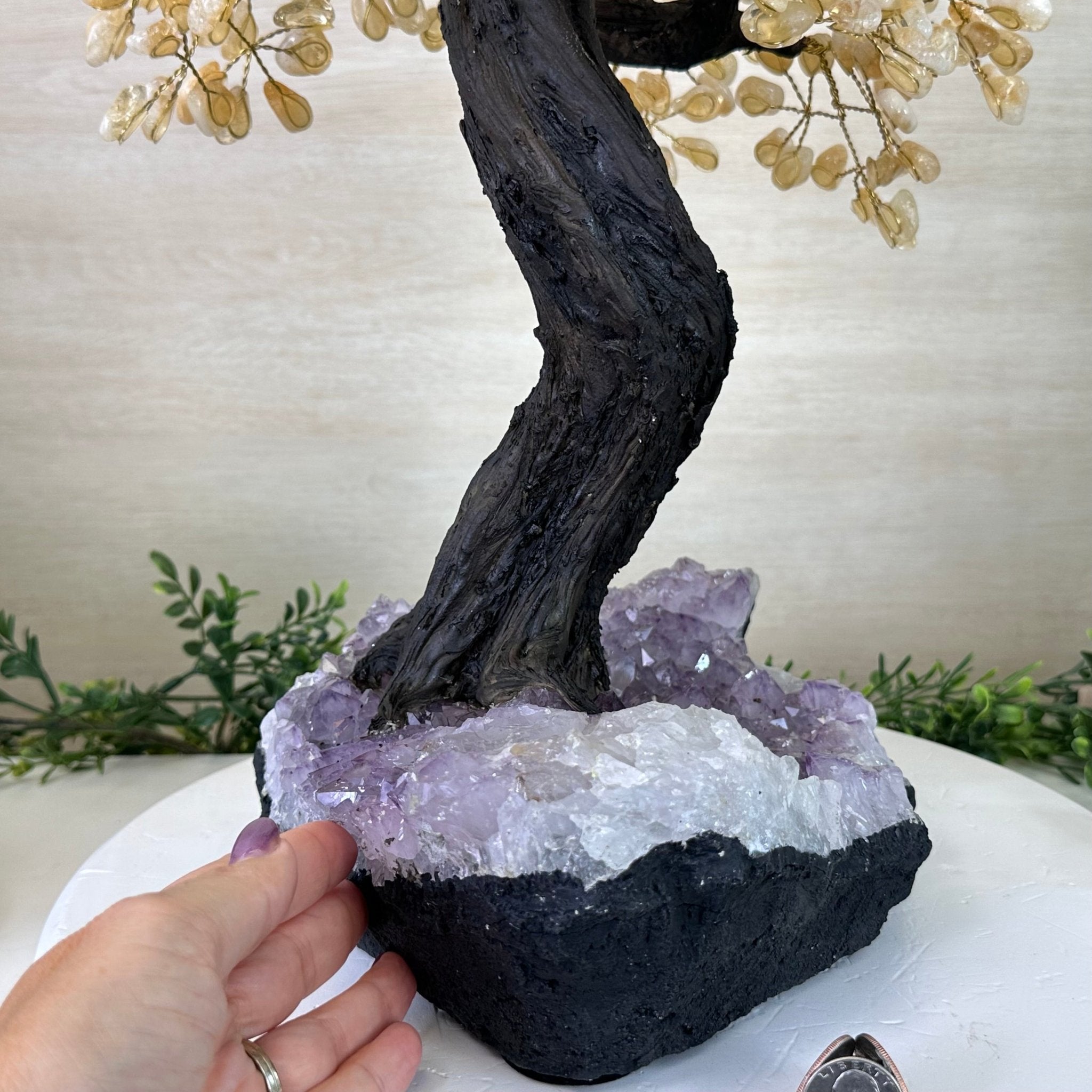 21.75" Tall Citrine Gemstone Tree on an Amethyst Base, 540 gems #5406CI - 022 - Brazil GemsBrazil Gems21.75" Tall Citrine Gemstone Tree on an Amethyst Base, 540 gems #5406CI - 022Gemstone Trees5406CI - 022